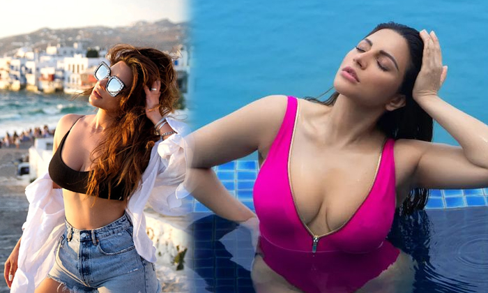 Actress Shama Sikander Looks Gorgeous In This Stills-telugu Actress Photos Actress Shama Sikander Looks Gorgeous In This High Resolution Photo