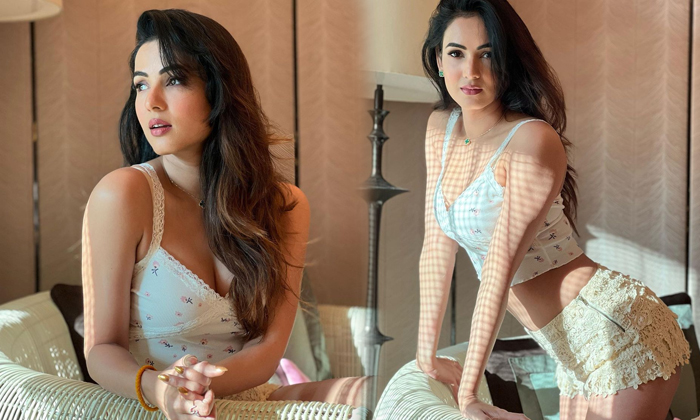 Actress Sonal Chauhan Spells Magic On Us With Her Beautiful Pictures-telugu Actress Photos Actress Sonal Chauhan Spells High Resolution Photo