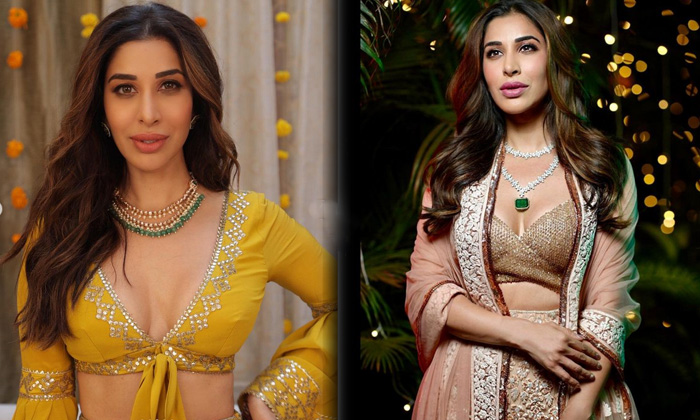 Actress Sophie Choudry Fashion Looks-telugu Trending Latest News Updates Actress Sophie Choudry Fashion Looks - Sophiech High Resolution Photo