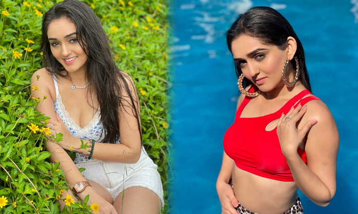 Actress Tanya Sharma Has To Give Birth To Sega For Her Beauty Pageant-telugu Actress Photos Actress Tanya Sharma Has To High Resolution Photo