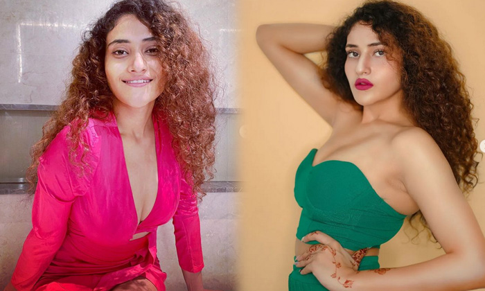 Bollywood Actress Arshiya Arshi Looks Pretty In This Pictures-telugu Trending Latest News Updates Bollywood Actress Arsh High Resolution Photo