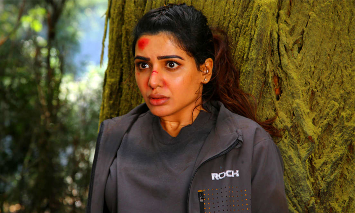  Director Duo Hari Harish Explain About Samantha Yashoda Details, Samantha, Yasho-TeluguStop.com