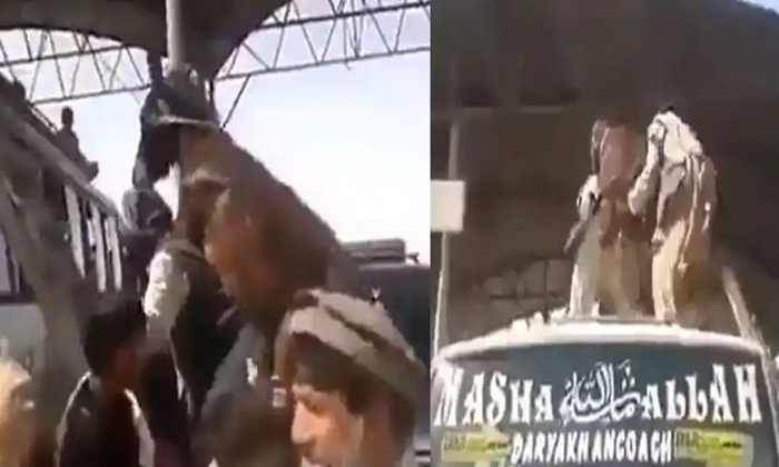  Donkey Riding On A Man , Donkey, Viral Video, Viral News, Trending News-TeluguStop.com