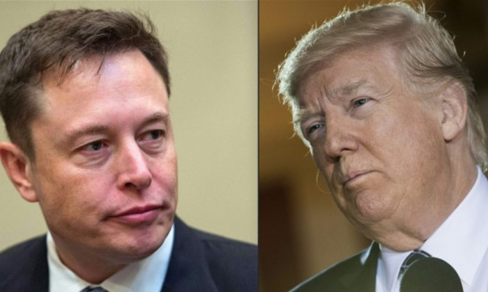  Elon Musk Asks Twitter Users If Donald Trump Should Be Reinstated,elon Musk,dona-TeluguStop.com