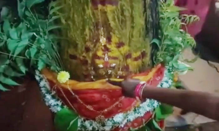 Telugu Ammavaru, Bakti, Banaganapalle, Devotees, Devotional, Neem Tree, Pooja, S