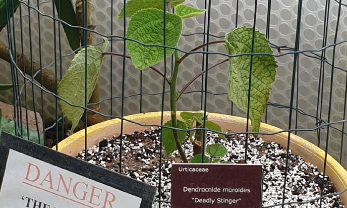 Telugu Daniel Emlyn, Latest-Latest News - Telugu Telugu Daniel Emlyn, Latest-Latest News - Telugu