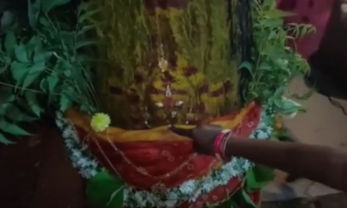  A Strange Incident In Banaganapalle  Neem Tree In The Shape Goddess ,  Neem Tree-TeluguStop.com