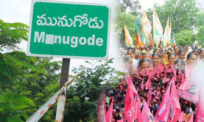  Munugodu Exit Poll Only One Clear Winner , Ktr, India Today Telangana Ppe Survey-TeluguStop.com