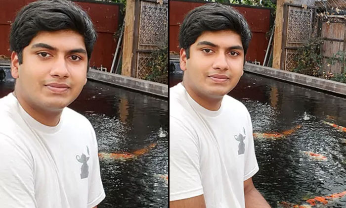 Telugu Angelfish, Genome, Indian American, Madi-Telugu NRI