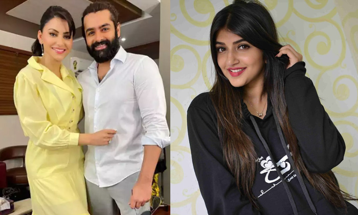  Ram Boyapati Combination Movie Backdrop, Ram Pothineni,boyapati Srinu,political-TeluguStop.com