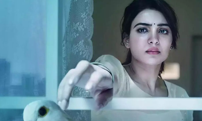  Samantha Yashoda Prove Again Her Stamina , Samantha , Yashoda , Hari, Harish-TeluguStop.com