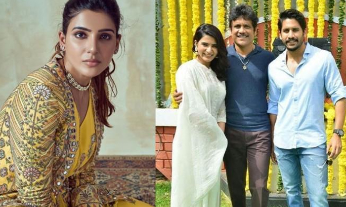  Rumours Goes Viral About Samantha Chaitanya Details Here , Samantha, Naga Chai-TeluguStop.com