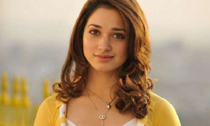  Tollywood Beauty Tamannah Bhatia Marriage Rumours, Tamannah Bhatia, Tamannah Mar-TeluguStop.com