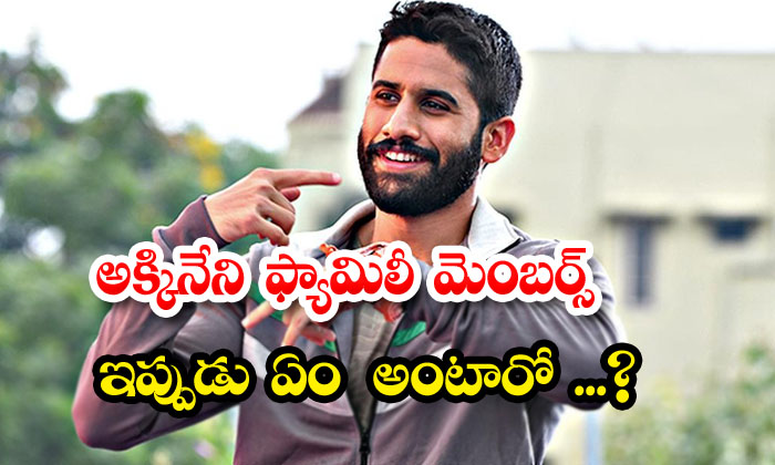 Akkineni Family Naga Chaitanya : అక్కినేని ఫ్యామిలీ మెంబర్స్ ఇప్పుడు ఏం ...