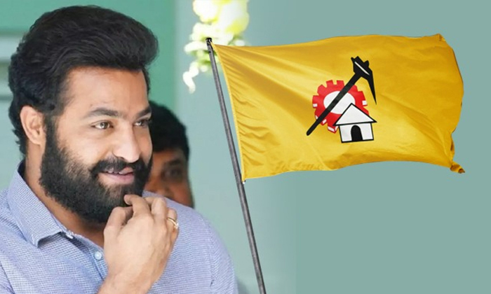  Clarity About Young Tiger Junior Ntr Political Entry Details, Ntr, Junior Ntr Po-TeluguStop.com