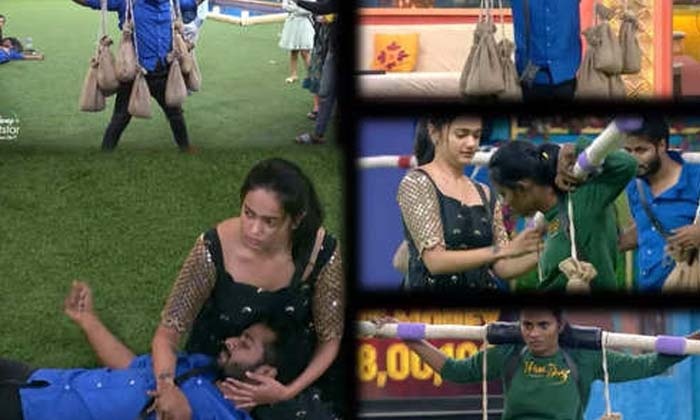  Bigg Boss 6 Telugu Who Will Win Eviction Free Pass Task , Bigg Boss 6 , Eviction-TeluguStop.com