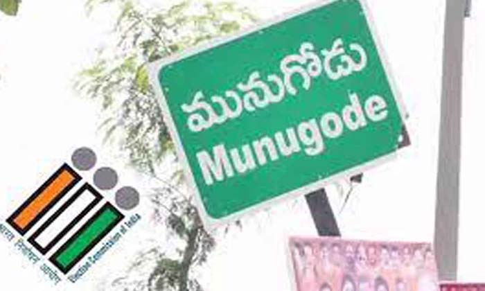 Telugu Komatirajagopal, Munugodu, Telangana-Political