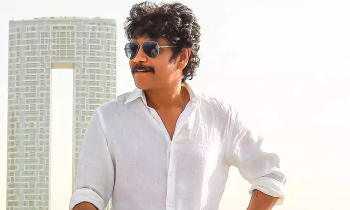  Nagarjuna New Films Interesting Update , Akhil, Bangarraju, Naga Chaitanya, Nag-TeluguStop.com