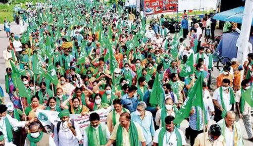  High Court Hearing On Amaravati Farmers' Padayatra-TeluguStop.com