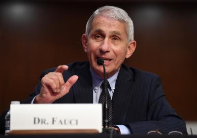  Responding To Malaria, Tb As Crucial As Emerging Health Threats: Dr Fauci-TeluguStop.com