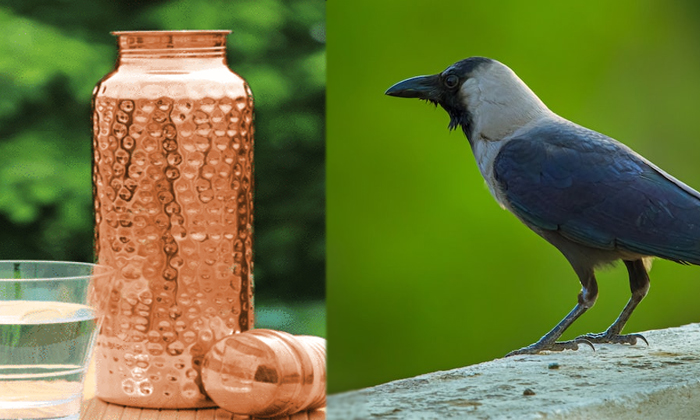 Telugu Astrology, Bhakthi, Copper Vessel, Crows, Devotional, Lakshmi Devi, Rahu