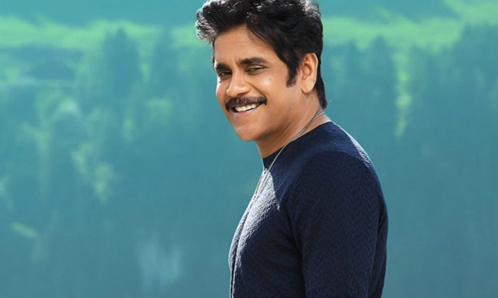 Telugu Akhil, Bangarraju, Naga Chaitany, Nagarjuna, Telugu, Ghost, Tollywood-Mov