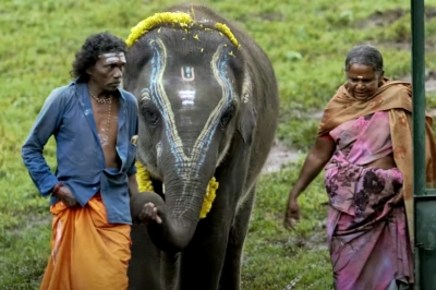  'the Elephant Whisperers' Trailer Depicts Bond Between An Indigenous Couple And-TeluguStop.com