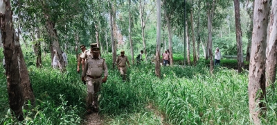  Tn Forest Dept Expedites Process To Remove Invasive Species-TeluguStop.com