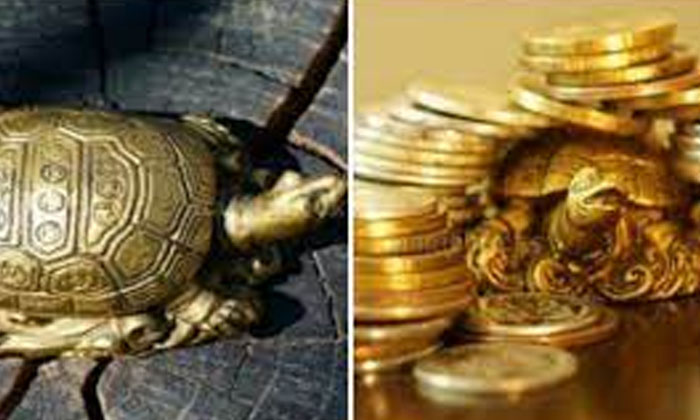  Are There So Many Benefits Of Keeping The Turtle Statue In The Right Direction A-TeluguStop.com