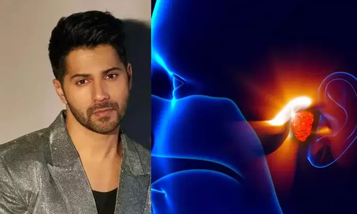 Telugu Bollywood, Suffer, Varun Dhawan, Vestibular-Movie