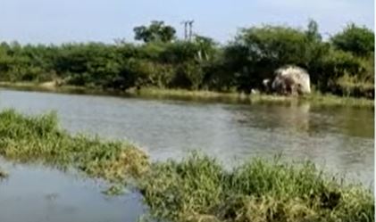 Police Lightning Raid On Chicken Betting Base In Tirupati Police Lightning Raid On Chicken Betting Base In Tirupati-TeluguStop.com