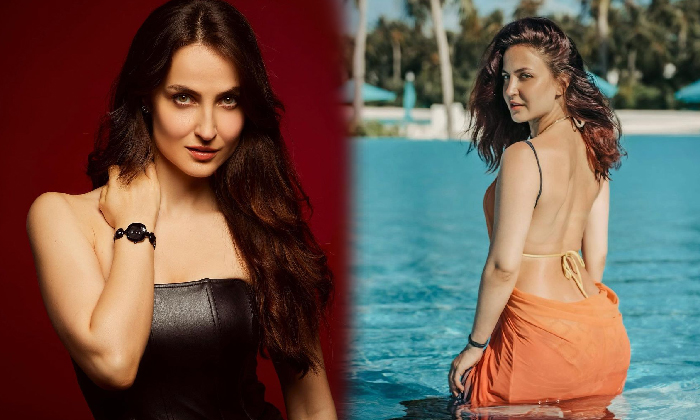 Actress Elli Avrram Spells Magic With Her Beautiful Stills-telugu Actress Photos Actress Elli Avrram Spells Magic With H High Resolution Photo