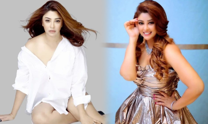 Actress Payal Ghosh Top 10 Looks Drop Dead Gorgeous In Spicy Images-telugu Actress Photos Actress Payal Ghosh Top 10 Loo High Resolution Photo