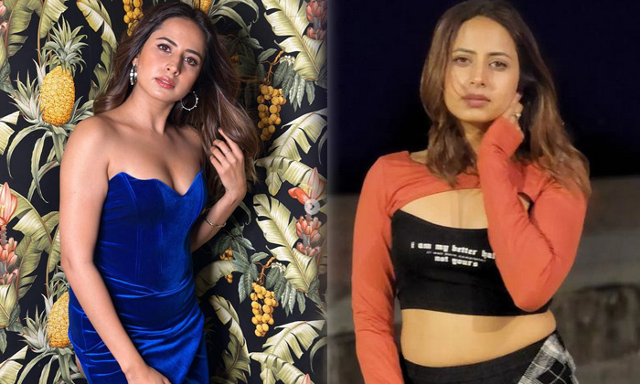 Actress Sargun Mehta Spells Magic On Us With Her Beautiful Pictures-telugu Trending Latest News Updates Actress Sargun M High Resolution Photo