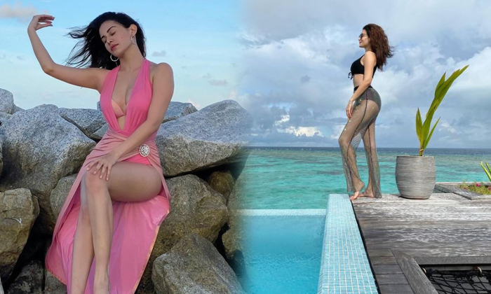 Amazing Pictures Of Amyra Dastur From Her Beach Vacation Will Make You Go Wow-telugu Actress Photos Amazing Pictures Of High Resolution Photo