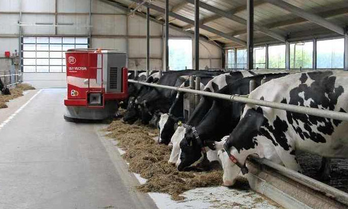  Dairy Farm That Provides Goodemployment , Employment , Dairy Farming Business-TeluguStop.com