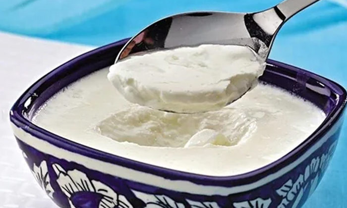  Eating Curd Is Good For Health Or Not What Experts Say , Eating Curd, Sleep Prob-TeluguStop.com