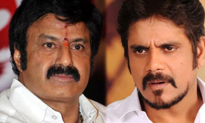  Nagarjuna Fans Clarity About Netizens Trolling Details Here Goes Viral,nagarjuna-TeluguStop.com