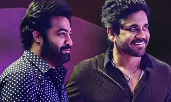 Telugu Akkineni, Balakrishna, Bigg Boss, Ntr, Nagarjuna-Movie