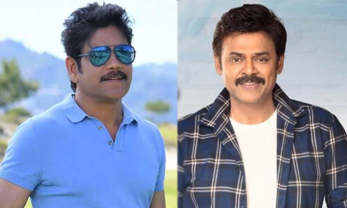  Nagarjuna And Venkatesh Movies Latest Update,balakrishna , Chiranjeevi, Nagarjun-TeluguStop.com