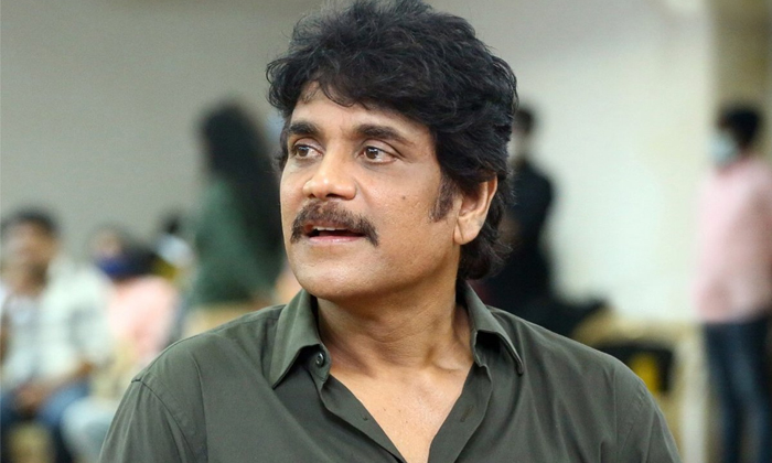  Nagarjuna Risk With Writer Prasanna Kumar Details, Dhamaka, Nagarjuna, Prasanna-TeluguStop.com