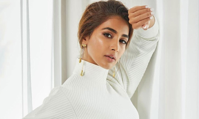 Telugu Pooja Hegde, Radhe Shyam, Tollywood, Trolls-Movie Telugu Pooja Hegde, Radhe Shyam, Tollywood, Trolls-Movie