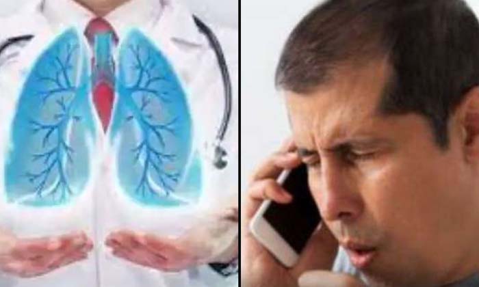 Telugu Cough Lungs, Lungs, Software, Salcit-Latest News - Telugu