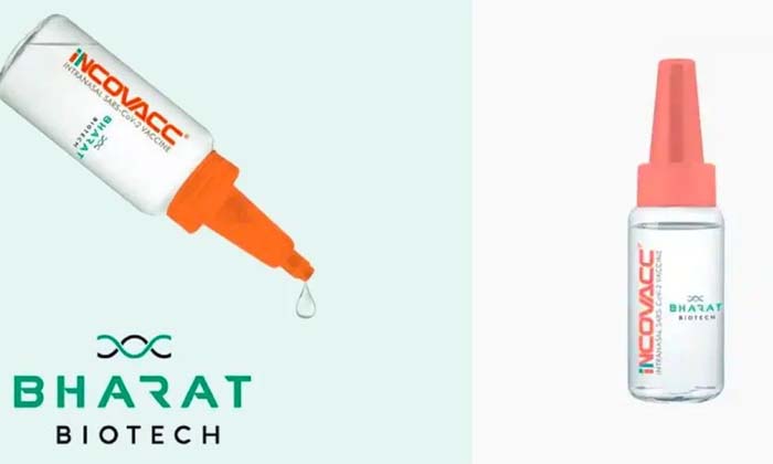  Want To Get The Nasal Vaccine...what Do You Need To Do To Get It ,nasal Vaccine,-TeluguStop.com