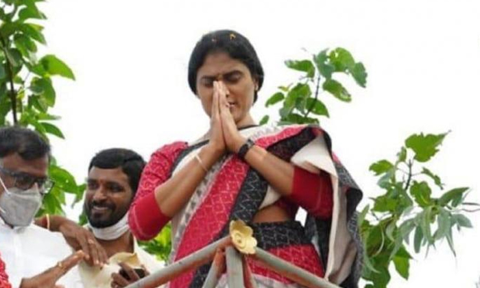 Telugu Andhra Pradesh, Sharmila, Trssupporters, Ysr Telangana-Political