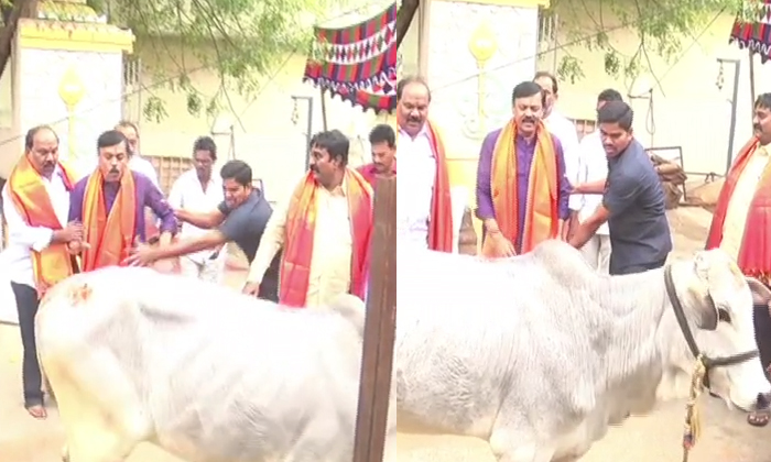  A Cow Threatened Bjp Mp Gvl Narasimha Rao, Cow, Bjp Mp Gvl Narasimha Rao, Gvl N-TeluguStop.com