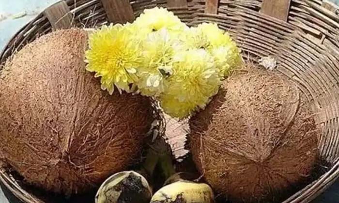  Do You Know What Rules Should Be Followed While Beating Coconut In Front Of God-TeluguStop.com