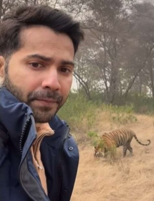  'bhediya' Varun Dhawan Meets Tiger In Jaipur-TeluguStop.com