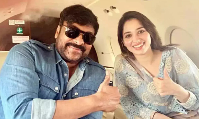 Telugu Bhola Shankar, Chiranjeevi, Keerthy Suresh, Mehar Ramesh, Tamanna, Telugu