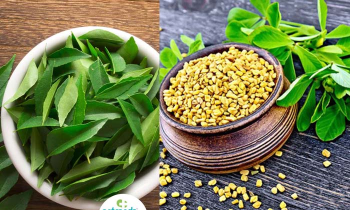 Telugu Curry Powder, Fenugreek Seeds, Fall, Problem, Tips, Telugu, Thick-Telugu